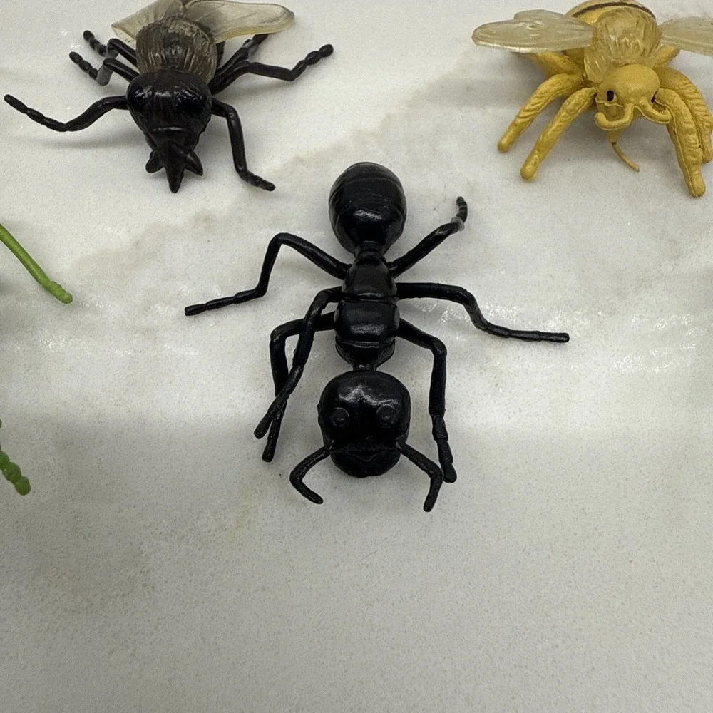 Safari Ltd Bugs Insects 2